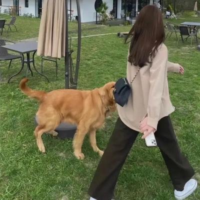 顽皮豹风笛手
